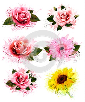 Set of greeting cards with defferent flowers.