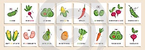 Set of greeting cards Punny veggies with cute veggies and funny phrases. Collection of postcards with kawaii veggy and puns.