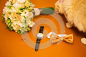 Set of groom clothes. Wedding rings, shoes, cufflinks and bow tie