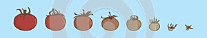 Set of grow up tomato cartoon icon design template with various models. vector illustration isolated on blue background