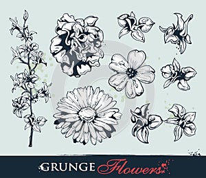 Set of grungy flowers