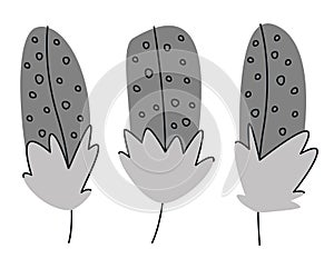 Set of guinea fowl feathers in doodle style.