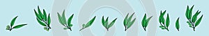 Set of gumnuts and leaves natural cartoon icon design template with various models. vector illustration isolated on blue