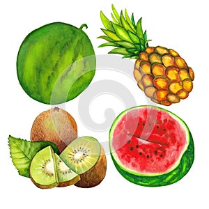 Set of half a juicy watermelon, kiwi and pineapple. Hand-drawn watercolor illustrations, summer fruits isolated on a