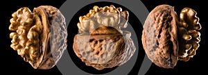 Set of half opened walnuts with kernel isolated on a black background