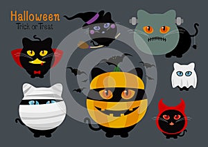 Set of halloween cats costume