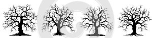 Set of halloween tree . Dead Branch from vector.Halloween tree by hand drawing.Black plant on white background AI