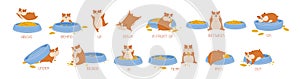 Set of hamster demonstrating English prepositions of place and movement. Bundle of funny animal with feeder and words