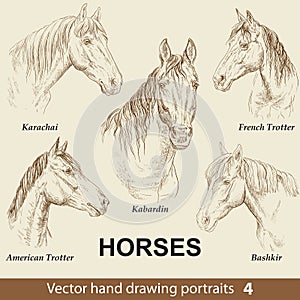 Set of hand drawing horses 4