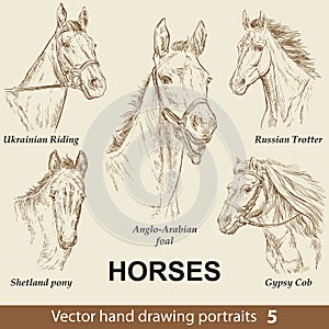 Set of hand drawing horses 5