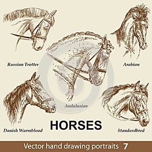 Set of hand drawing horses 7