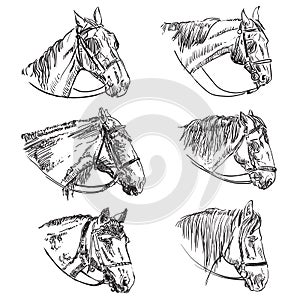 Set of hand drawing horses 9