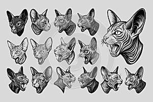 Set of hand drawing meowing sphynx cat head in side view design