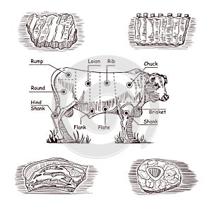 Set of hand drawings on Meat theme.