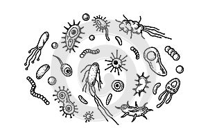 Set of hand drawn bacterias and microorganisms. Vector illustration in sketch style. Realistic microbiology scientific design