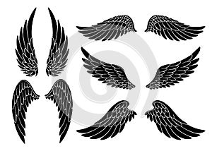 Set of hand drawn bird or angel wings of different shape in open position. Black doodle wings set