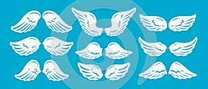 Set of hand drawn bird or angel wings of different shape. Vector illustration