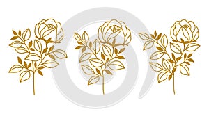 Set of hand drawn botanical gold rose flower and leaf elements