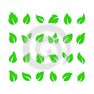set of hand drawn bright green botanical leaves vector illustration