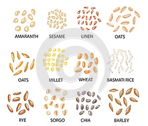 Set of hand drawn colored cereal grains. Vector illustration photo