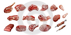 Set of hand-drawn colored sketches of different types of meat, steaks, chicken, kebabs, bacon, tenderloin, pork, beef, ham,