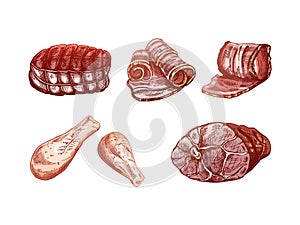 Set of hand-drawn colored sketches of meat pieces, beef steak, ham, pork, chicken. Fresh raw meat products. For design of menu,