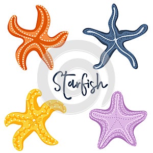 Set of hand drawn cute starfishes. Marine dweller. Concept of sea and ocean life