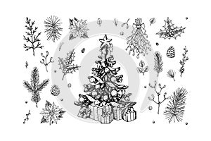 Set of hand drawn decorated Christmas tree, plant branches, cones and berries isolated on white background. Christmas decoration