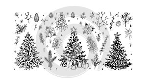 Set of hand drawn decorated Christmas trees, plant branches, cones and berries isolated on white background. Christmas decoration