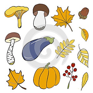 Set of hand drawn doodle elements about autumn. Mushrooms, leaves, pumpkin, eggplant, acorn. vector drawing