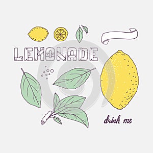 Set of hand drawn elements for lemonade or soda drink package design. Doodle lemon, leaves, icons, logo template and handlettering