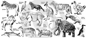 Set of hand drawn extinct animals