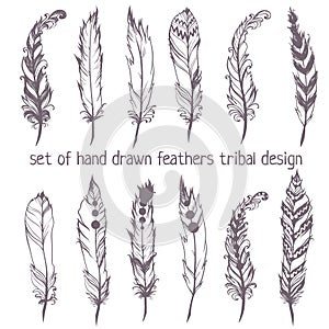 Set of hand drawn feathers for American Indian Dreamcatcher masc