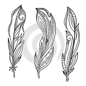 Set of hand drawn feathers with boho pattern