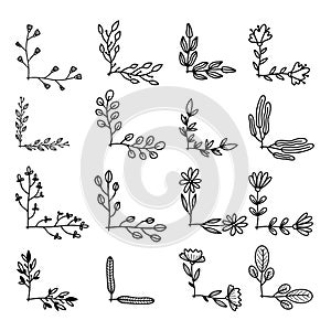 Set of hand drawn floral corners. Floral text dividers. Design element for greeting card, t shirt, poster.