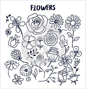 Set of Hand Drawn Flowers Vector Illustration