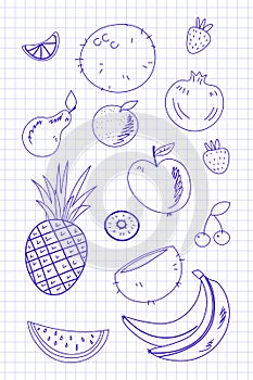 Set of hand drawn fruits and berries outline image on notebook page background. Doodle Icons vector illustration. Design