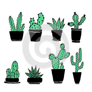 Set of hand drawn green cacti with black pots on white  background in minimalistic  scandinavian style.