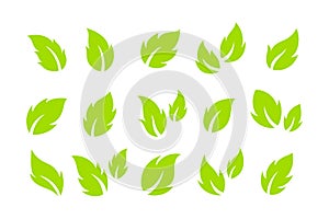 set of hand drawn green leaves vector illustration