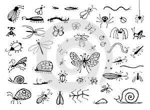 Set of Hand Drawn Insects or Small Animals Sketch Vector Illustration Isolated on White Background