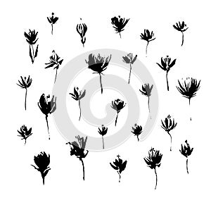 Set of hand drawn modern flowers. Grunge style ink paint elements for design. Black isolated vector on white background