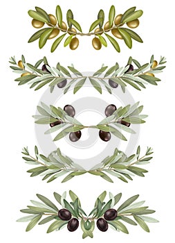 Set of hand drawn olive tree branches arrangements and borders