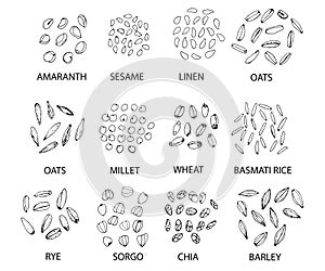 Set of hand drawn outline cereal grains. Vector illustration photo