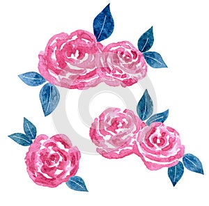 Set of hand drawn painted watercolor pink colored roses with green blue leaves. Aquarelle