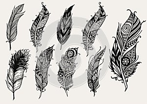 Set of hand drawn rustic decorative feathers