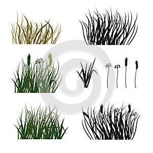 Set of hand drawn silhouette of grass isolated on white background