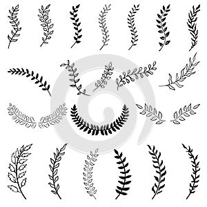 Set of hand drawn silhouette tree branches with laurel, oak and olive foliate. Vector illustration for your frame, border,