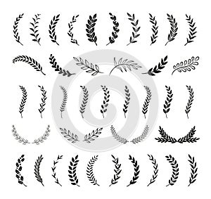 Set of hand drawn silhouette tree branches with laurel, oak and olive foliate. Vector illustration for your frame, border, photo