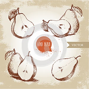 Set of hand drawn sketch style pears. sliced ripe pears.