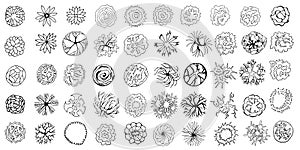 Set of hand drawn stylized top view trees and plants. Graphic, isolated on white, vector